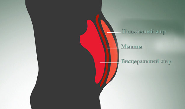 висцеральный жир-05